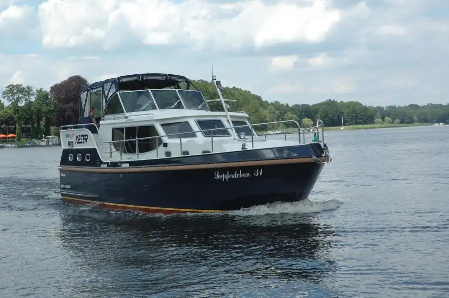 Seepferdchen 31
